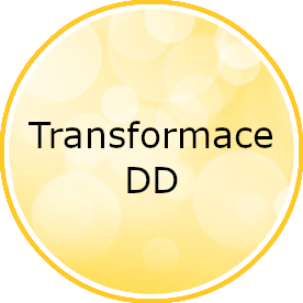 TransformaceDD.png